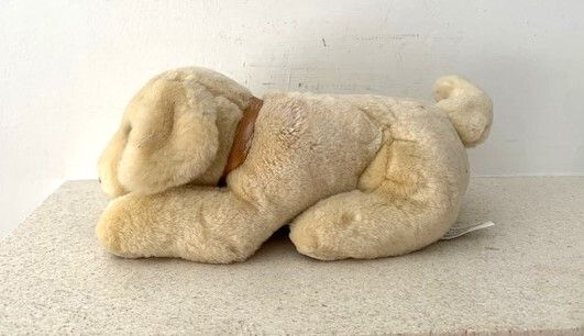 Vintage Andrex Puppy