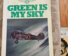 Green Is My Sky. By A. A. Quigley. First Edition 1983 Paperback In Good Condition.