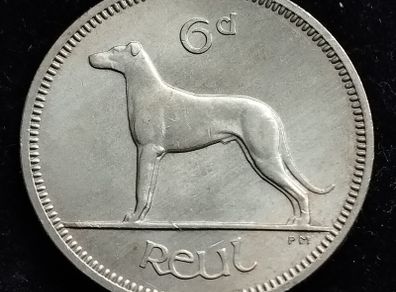 Ireland - 1966 - 6 Pence - UNC - KM.13a - [2785]