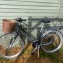 Raleigh Pioneer Image 2