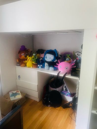 Ikea Loft Bed with desk and extra storage