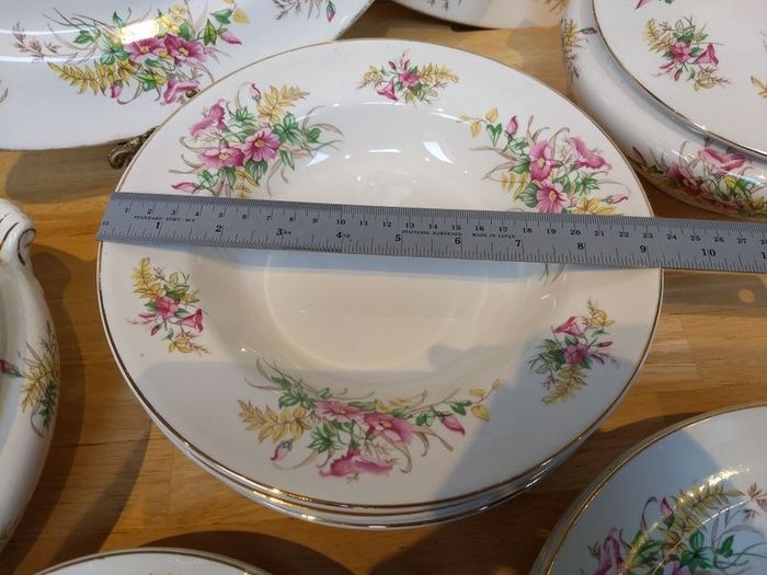 Beautiful 1950s Almost Complete Dinner Service by Arklow Pottery in Pattern Number 2508