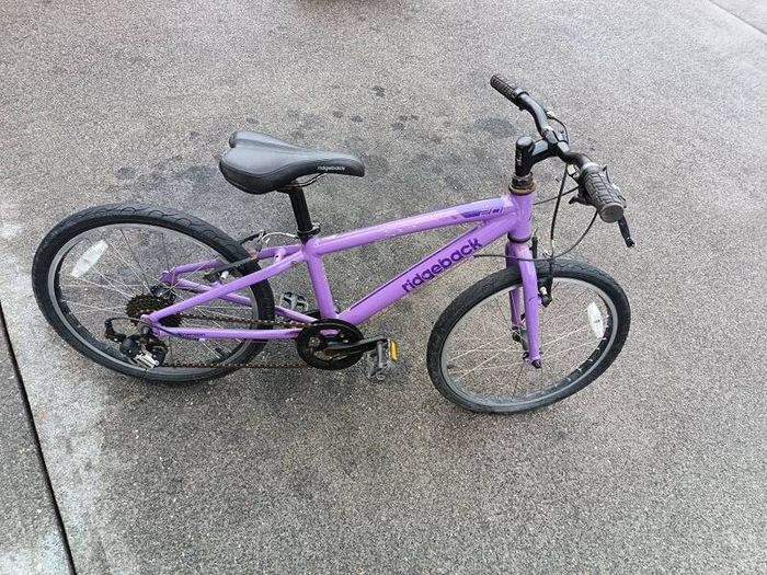 Ridgeback bike