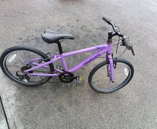 Ridgeback bike