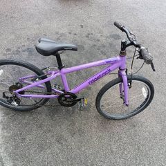 Ridgeback bike