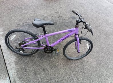 Ridgeback bike