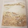 . Birds In Norfolk. A National & International Perspective By Andt Brown FABOLOUS LARGE VOLUME BOOK. In very good condition. . James Mccallum. Image 9