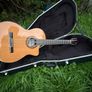 Cordoba C7-CE Classical Electro-Acoustic Guitar + Hard Case Image 7
