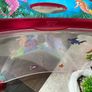 Plastic fish tank Image 2