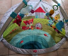 Baby play gym