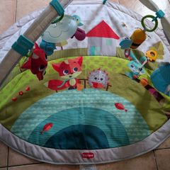 Baby play gym