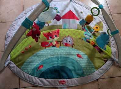 Baby play gym