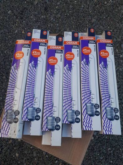 Osram 250w bulbs ( x 30)