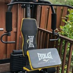 Everlast Home gym