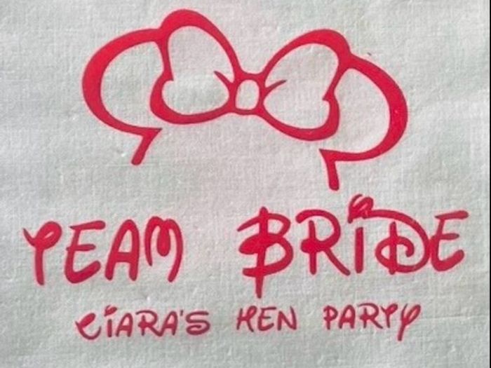 Hen Party T-Shirt iron on decals.