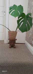 vintage elephant plant stand