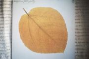 Pete Jolly - Seasons Orig U.S. pressing LP Jazz Funk