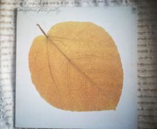 Pete Jolly - Seasons Orig U.S. pressing LP Jazz Funk