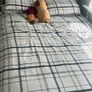 Double Bed and Matress Image 3