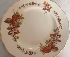Royal Daulton dinner Plates X 2
