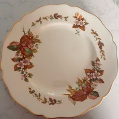 Royal Daulton dinner Plates X 2