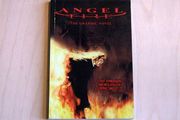 Angel Fire (Carlton Books)