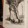 Trees For Town & Country A Practical Guide To Planting And Care. By Peter Bridgeman. First Edition Hardback With Dustjacket In Good Condition. Image 3