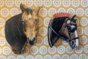 Heavy horse and thoroughbred type horse fridge magnets