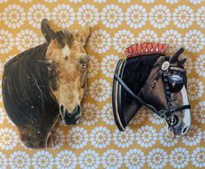 Heavy horse and thoroughbred type horse fridge magnets