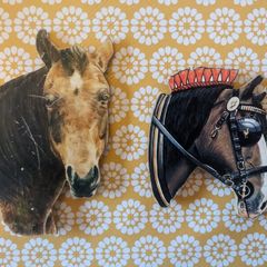 Heavy horse and thoroughbred type horse fridge magnets