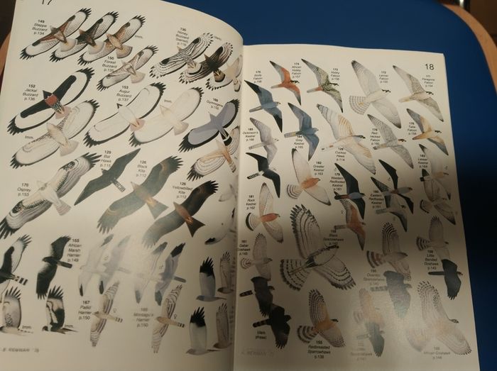 Roberts' Birds of Southern Africa