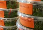 Aquarium Plants In Vitro
