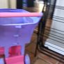 kids shopping cart Image 2