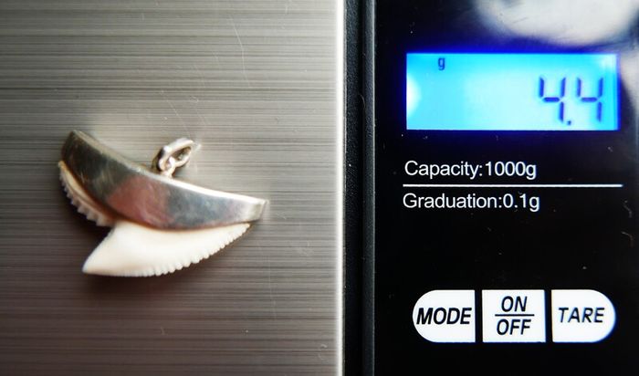 Vintage Sterling Silver Mounted Sharks Tooth Pendant