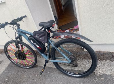 electric bike