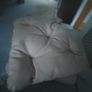 3 cream chair pads Image 5