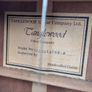 Tanglewood TW55 Electro Acoustic Guitar + Hard Case Image 3