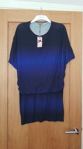 Phase Eight Dress Size 16