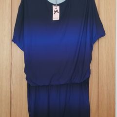 Phase Eight Dress Size 16