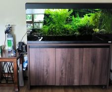 aquarium