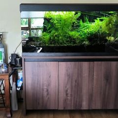 aquarium