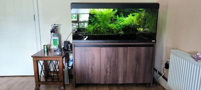aquarium