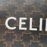 Celine Triomphe pouch Image 2
