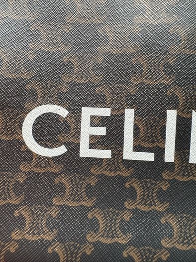 Celine Triomphe pouch