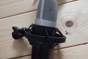 large condenser maudio mic