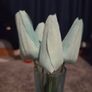 home accessories Image 8