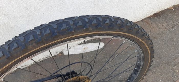 Mountain Bike