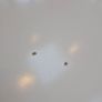 IKEA ROSENTORP Dining Table & 6 Chairs Image 3