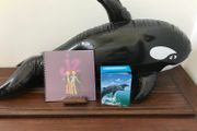 Whale + School Journal + Dolphin Notecards