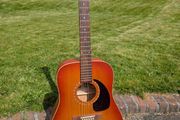 Art &amp; Lutherie Cedar Acoustic Guitar